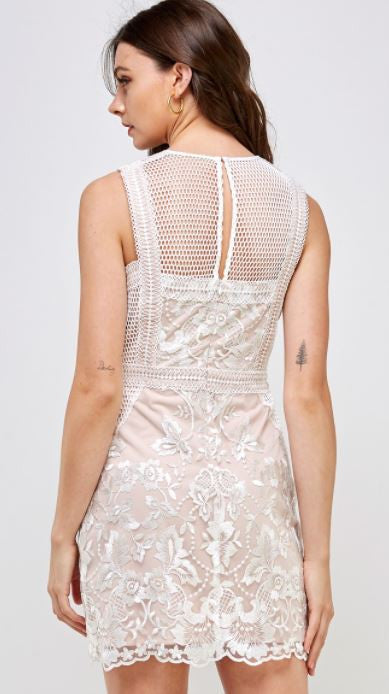 blush lace 3.JPG