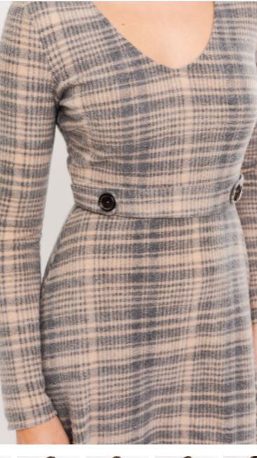 Alyce Plaid Mini Dress 3.JPG
