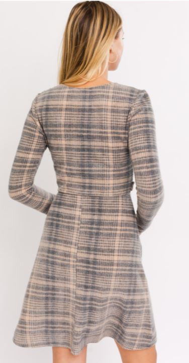 Alyce Plaid Mini Dress 2.JPG