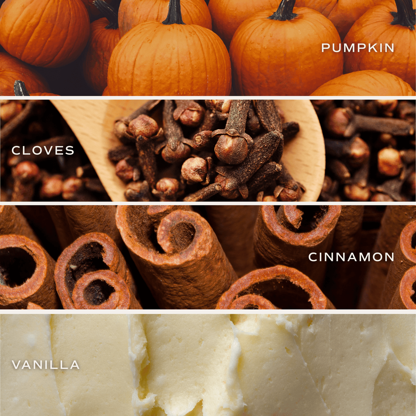 Pumpkin Spice Reed Diffuser