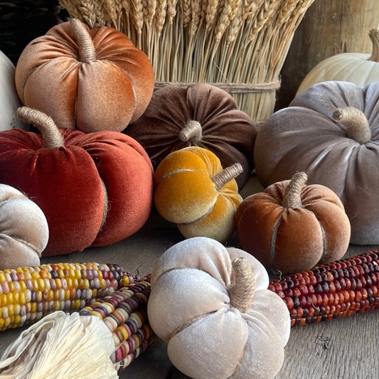 Velvet Fall Pumpkins