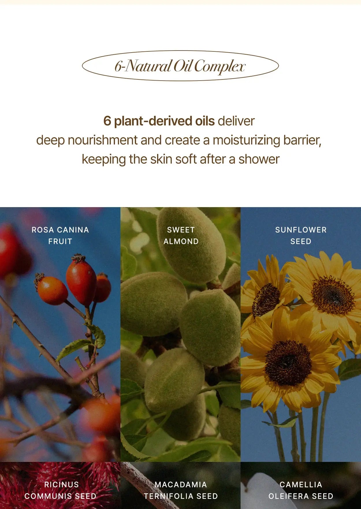 K Beauty Perfumed Hand soap Body Wash 2in1 10.14oz (300ml)