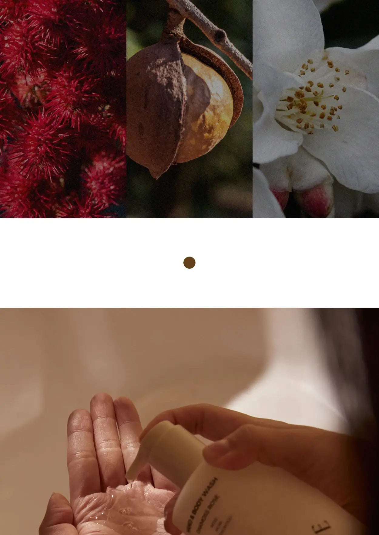 K Beauty Perfumed Hand soap Body Wash 2in1 10.14oz (300ml)