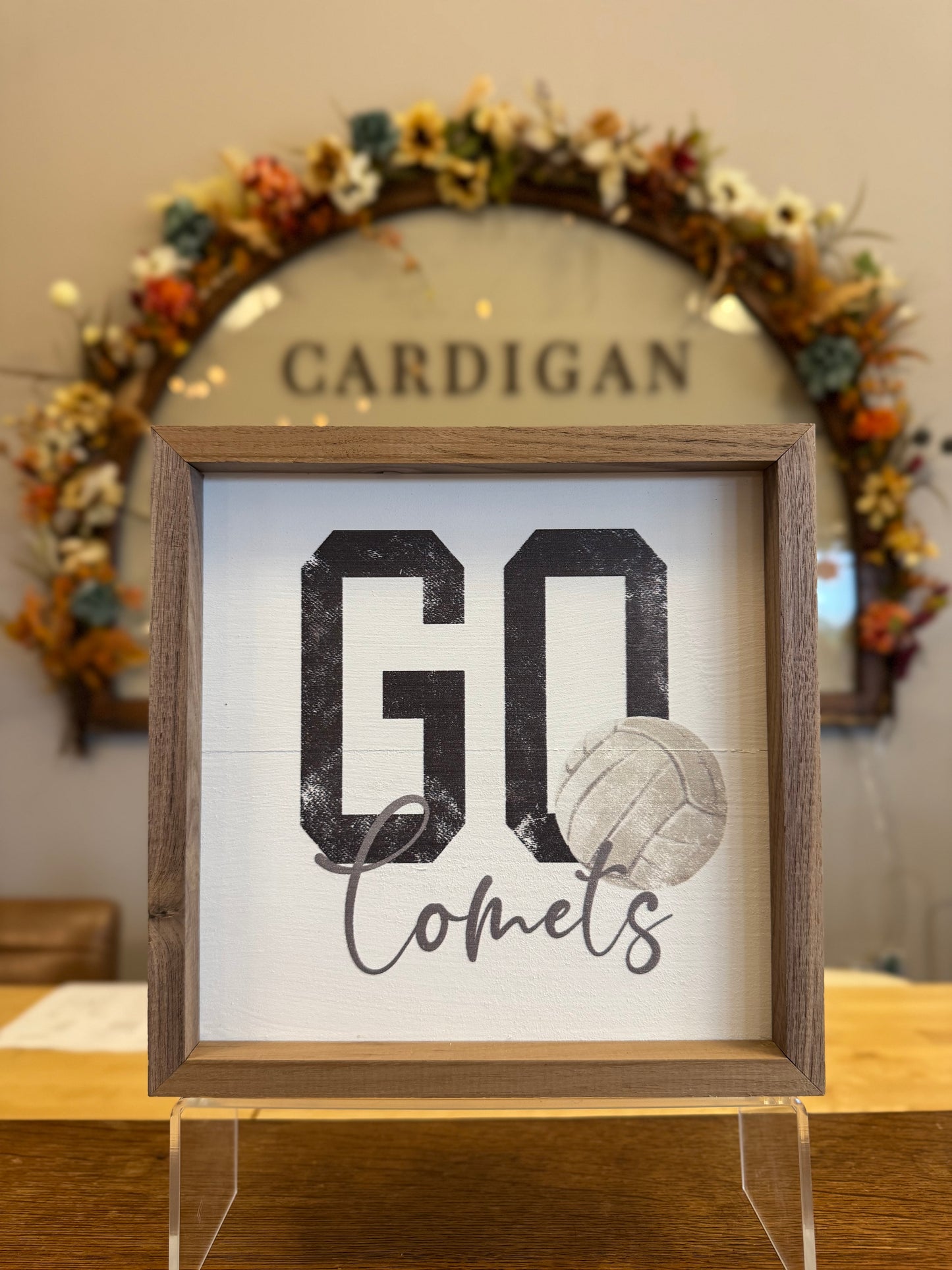 Go Comets Framed Print