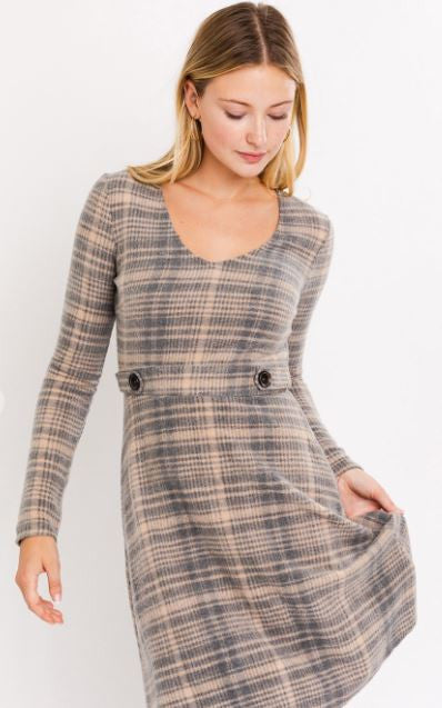 Alyce Plaid Mini Dress 1.JPG