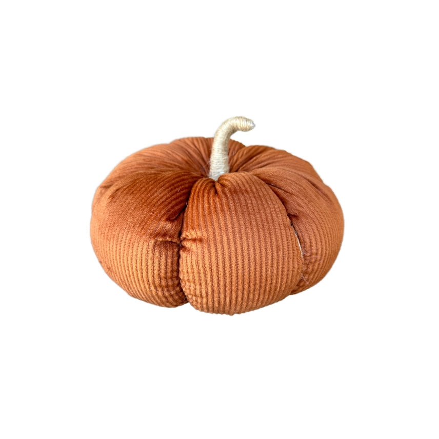 Velvet Fall Pumpkins